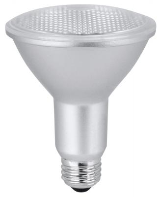 8.3W PAR30L LED Floodlight