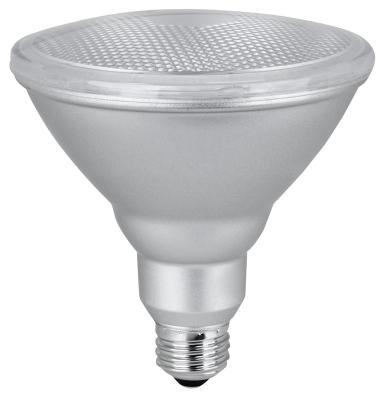 11W PAR38 LED Flood Bulb 3000K