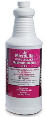 Qt MicroLife Maximum Bloom