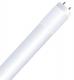 36" T8 LED 5000K Linear Tube