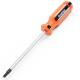 T25 Torx Screwdriver