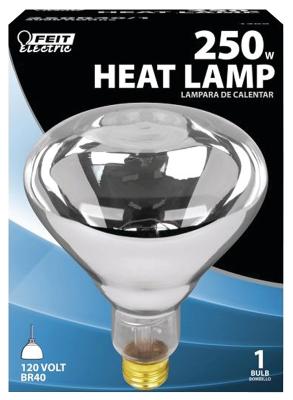 250W Clear R40 Heat Lamp