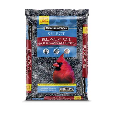 *10lb Black Oil Sunflower Seed