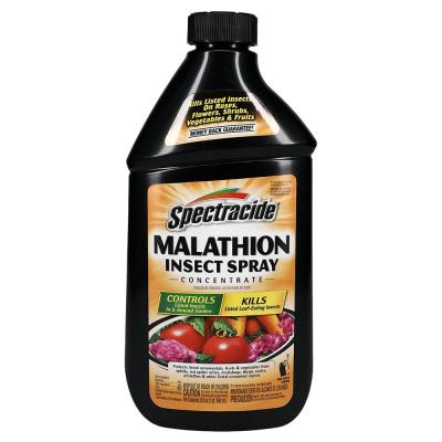 Qt Malathion Concentrate