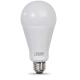 A21 3000K LED Bulb