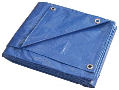 30x40 Blue Tarp