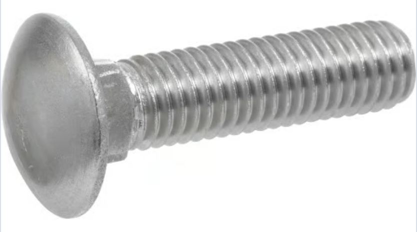 Stainless Steel Carriage Bolt
