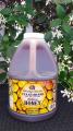 5lb Honey Stroope's Honey