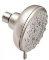 Showerhead Moen Nickel