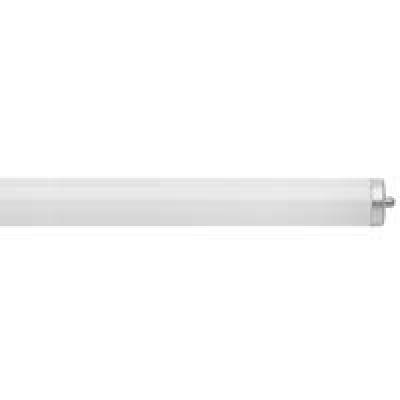 8' T12 Cool White Bulb