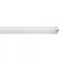 8' T12 Cool White Bulb