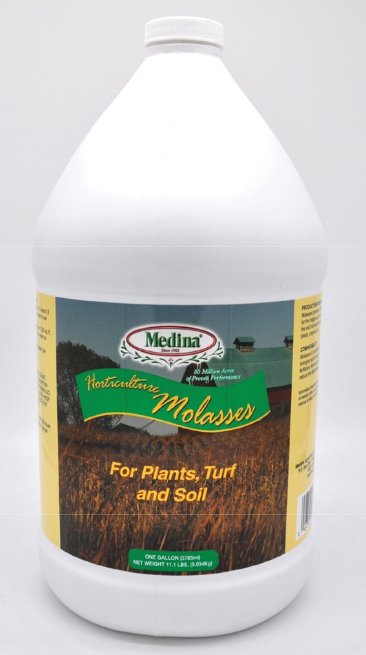 Gal Molasses Medina