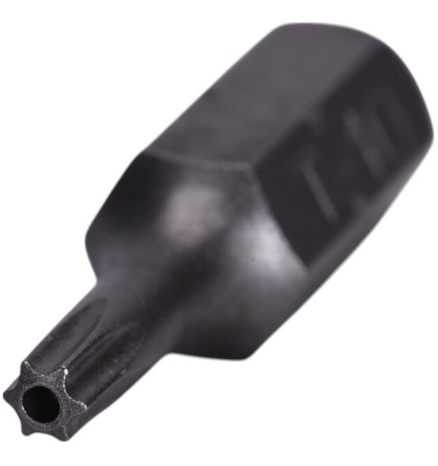 -T10 Security Insert Bit