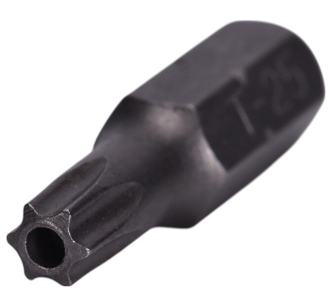 -T25 Security Insert Bit