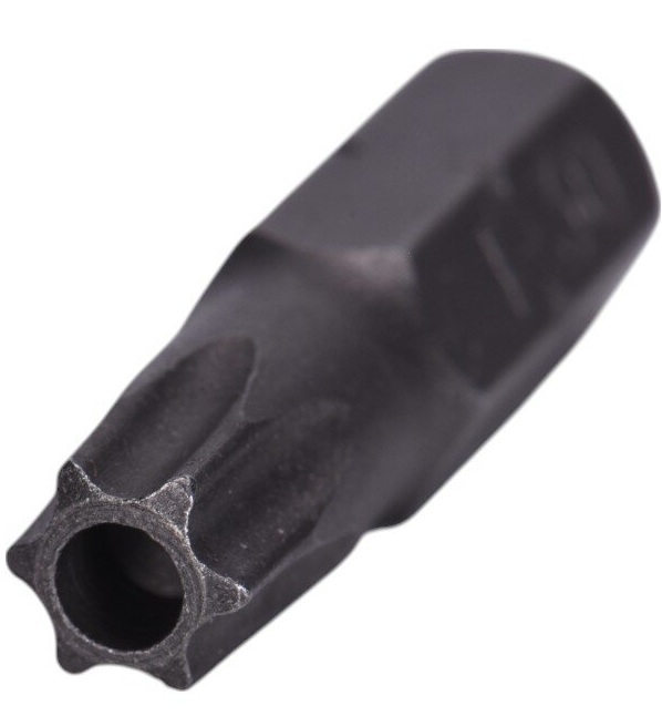 -T30 Security Insert Bit