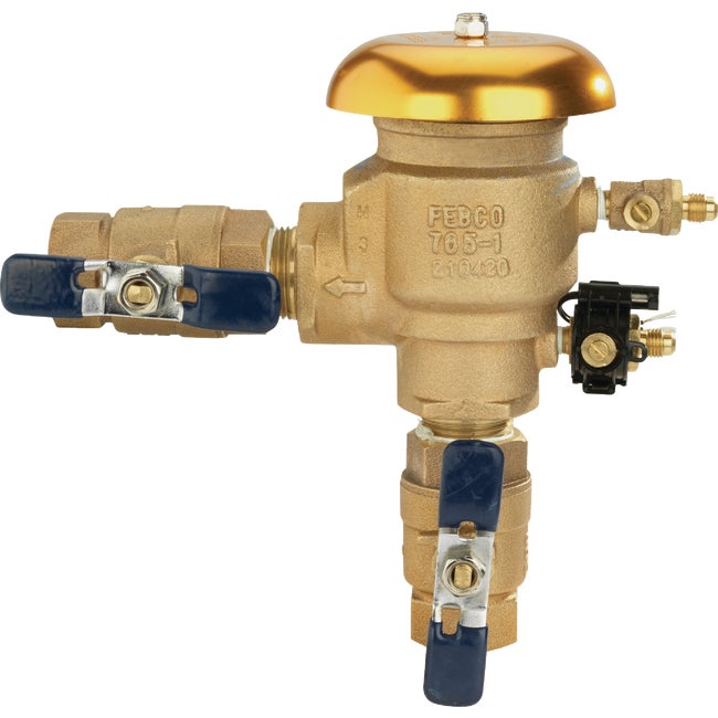 1" Febco Vacuum Breaker