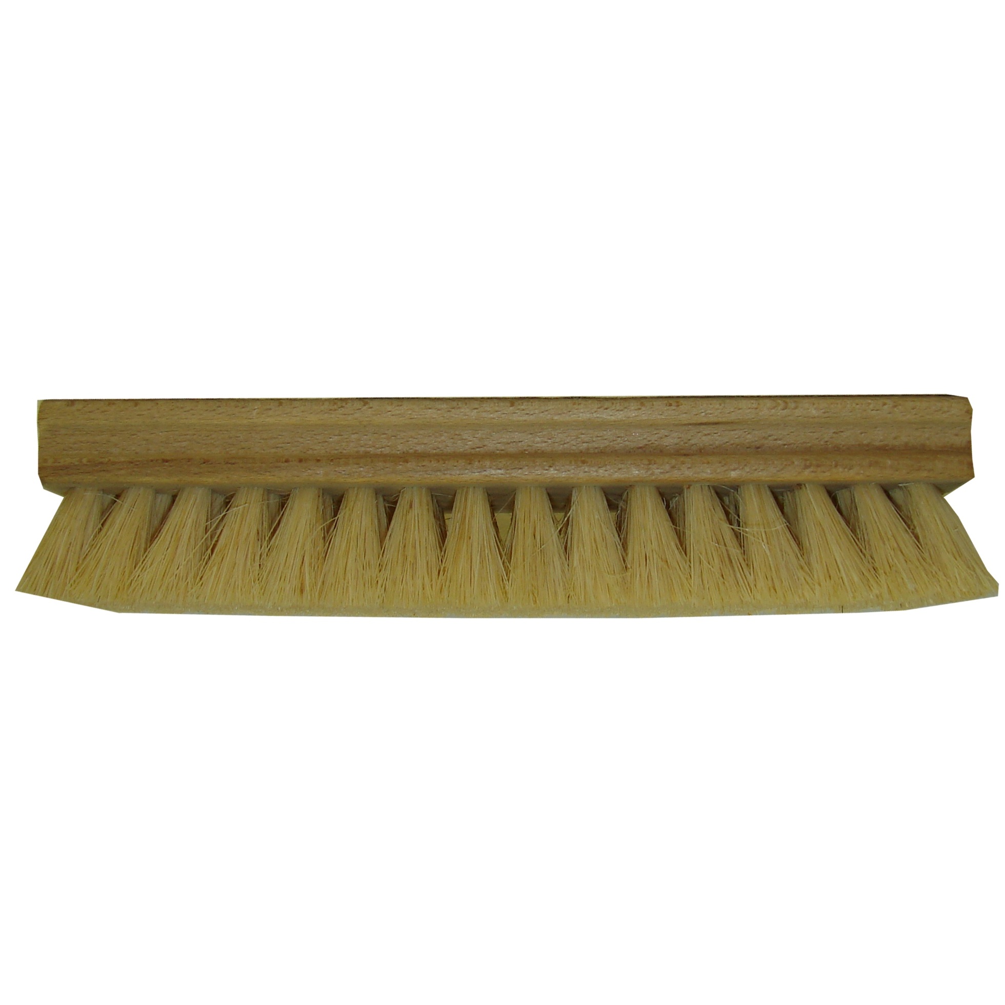 Scrub Brush Tampico