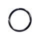 #100 O Ring