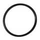 #55 O Ring