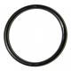 #66 O Ring