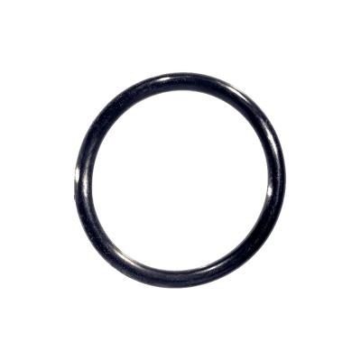 #100 O Ring