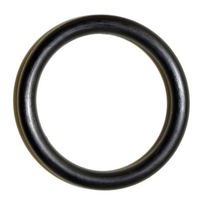 #19 O Ring