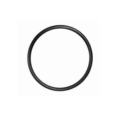 #37 O Ring