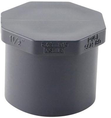 1-1/2 PVC Sch80 Plug